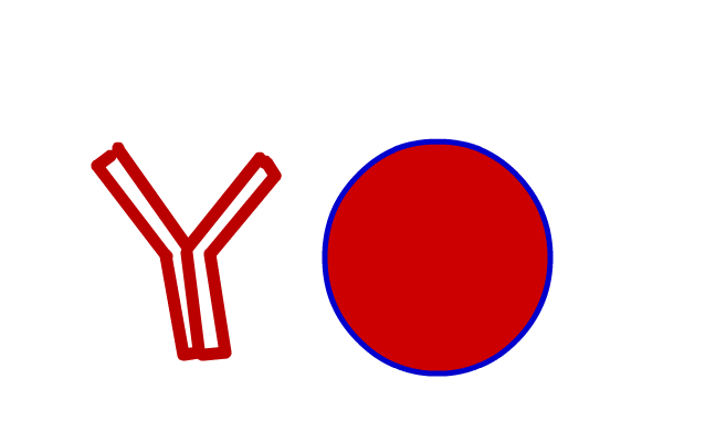 :=