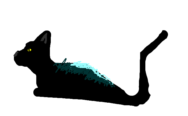 min breakdance katt!