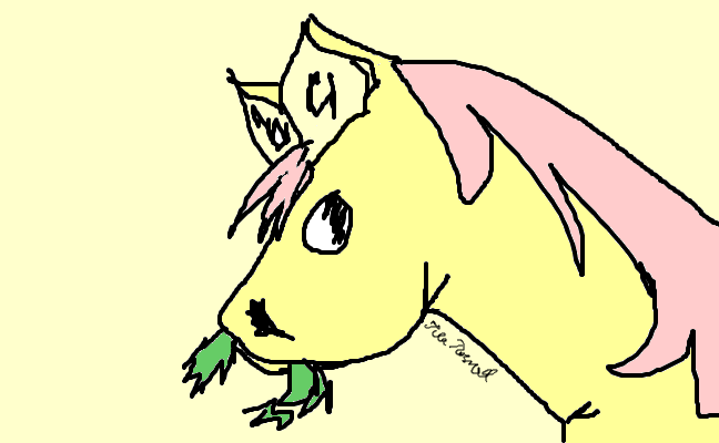 horse