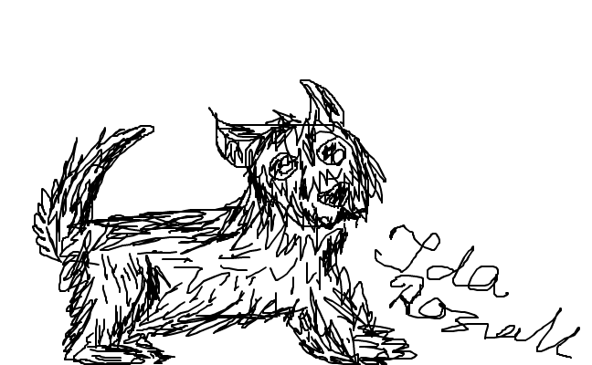 söt hund