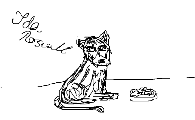 söt katt