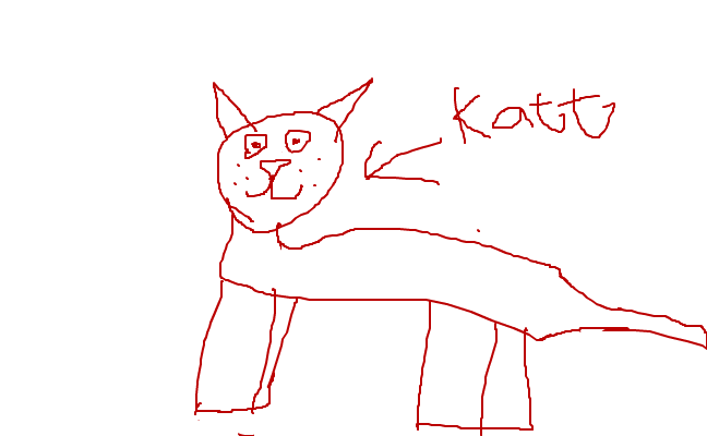 katt