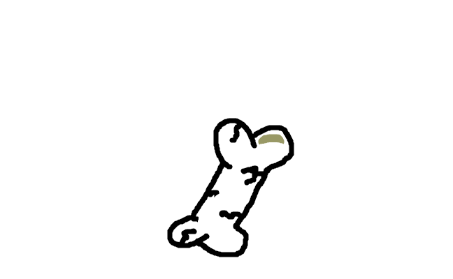 a bone