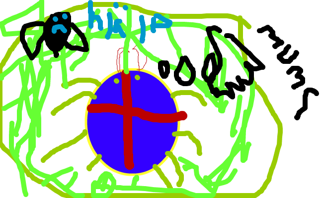 SPINDEL