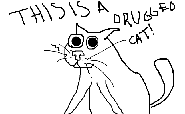 Cats how we like em