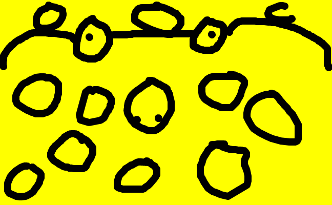 Svampbob