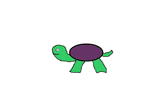 baby turtle
