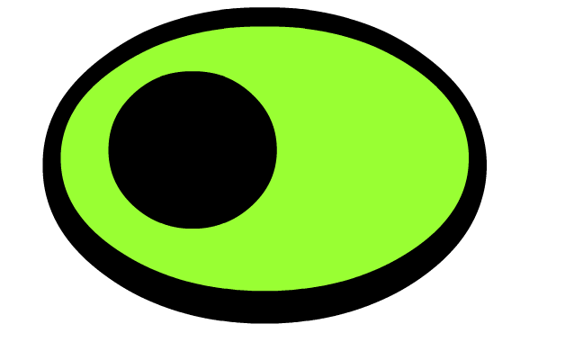 Öga