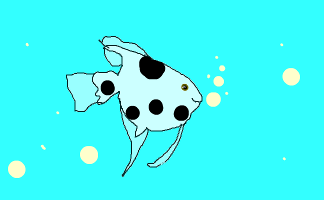 fisk:3