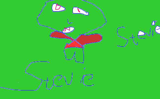 Stevie