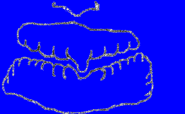 §sxert