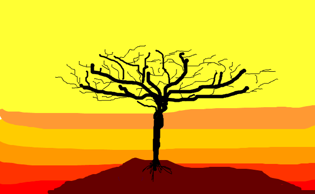 African tree sunset