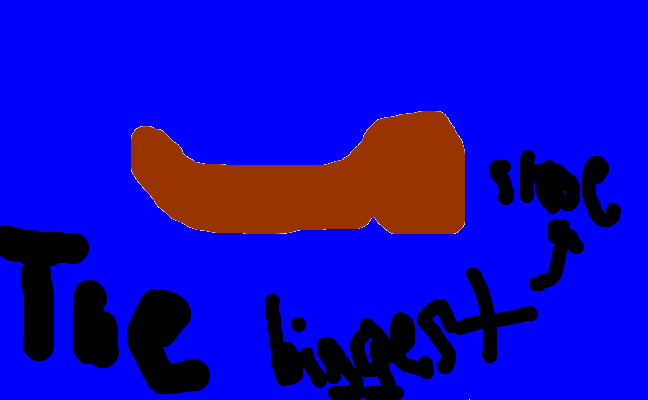 THE BIGGEST SHOE
