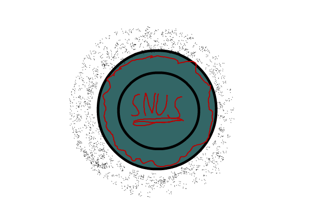 snus