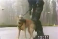 Bild från Farliga polishundar