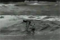 Bild från Dynamit Surfning
