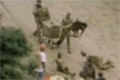 Bild från Green Day - When I Come Around (Woodstock 94)