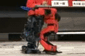 Bild från Robotar som brottas!