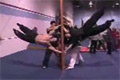 Bild från Ninja training camp
