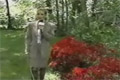Bild från Geting där nere