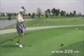 Bild från Golf + mås