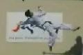 Bild från Extrem taekwondo.