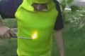 Bild från Bananmannen