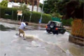 Bild från Street wakeboarding