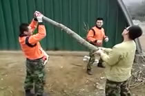 Bild från Soldat i Korea ska sparka av gren