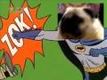Bild från Mops (hunden) sjunger Batman-sången