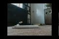 Bild från lego stopmotion swimming