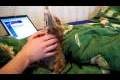Bild från Slow loris loves getting tickled
