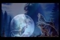 Bild från B4You - NightWolf
