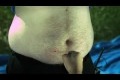 Bild från Airsoft kulor VS mage i slowmotion