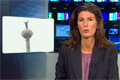Bild från Spindelmannen bestiger Petronas