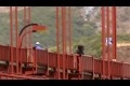 Bild från The Golden Gate Bridge Suicides ( Full Version: 1hr 34m )