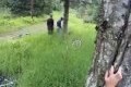 Bild från Biking Moose Surprise