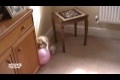 Bild från Horny Rabbit sätter på ballong!