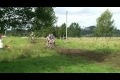 Bild från Kräftracet 2011.mp4
