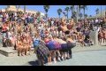 Bild från Arash 2011 Flip/Stunt Demo Reel