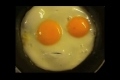 Bild från Ägg som pratar tyska!