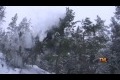 Bild från Three Swedes Tree Stunt Fail