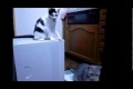 Bild från Trolling cat is epic!