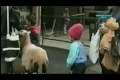 Bild från AFV - Fail compilation!