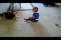 Bild från Dog play with cute baby WIN