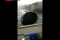 Bild från Trampoline Trampoline OMG!!