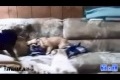 Bild från Best Fails Of The Week 2 January 2012 || YDL