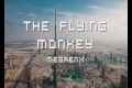 Bild från MegaEnx- The flying monkey