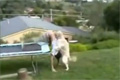 Bild från Fail Compilation February 2012