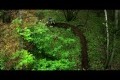 Bild från Life Cycles - Stance Films - OFFICIAL 2010 Mountain Bike Trailer 1080p